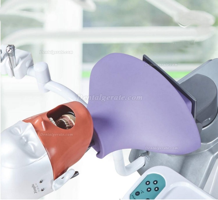 Jingle JG-A11 Phantomkopf Zahnmedizin-Simulator Dentaler Patientensimulator